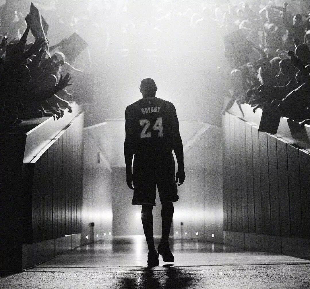 在不脱离观 在不脱离观