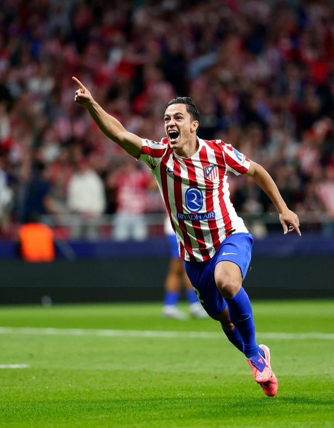 覆盖肋部的 覆盖肋部的